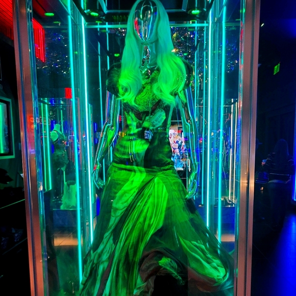 Meet your Posher, Elle - Picture 5 of 11